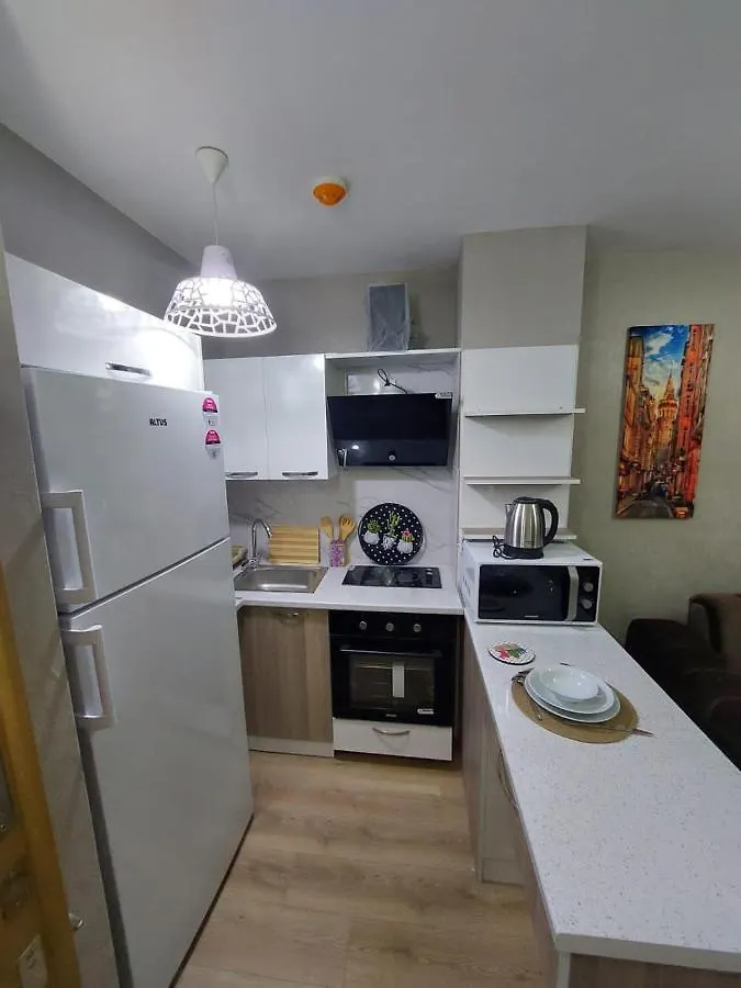 Classic Suite Ts32 Istanbul Lägenhet